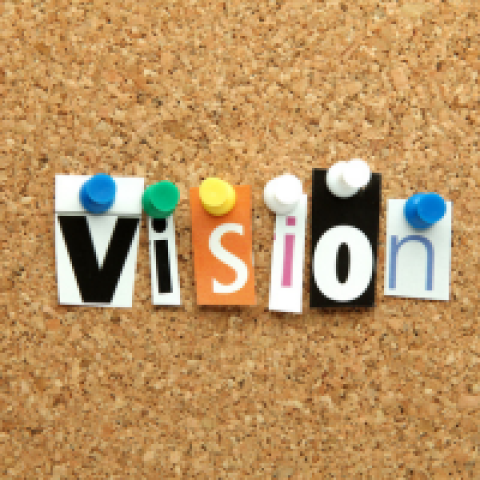 Vision